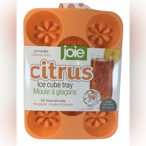 Joie Citrus Ice Cube Tray Lid Included
